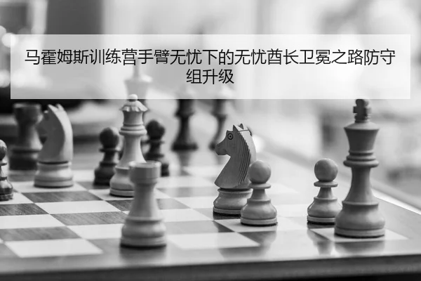 马霍姆斯训练营手臂无忧下的无忧酋长卫冕之路防守组升级